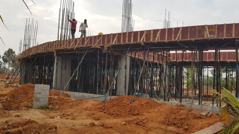 Concrete columns and curved slab formwork rising on the same site